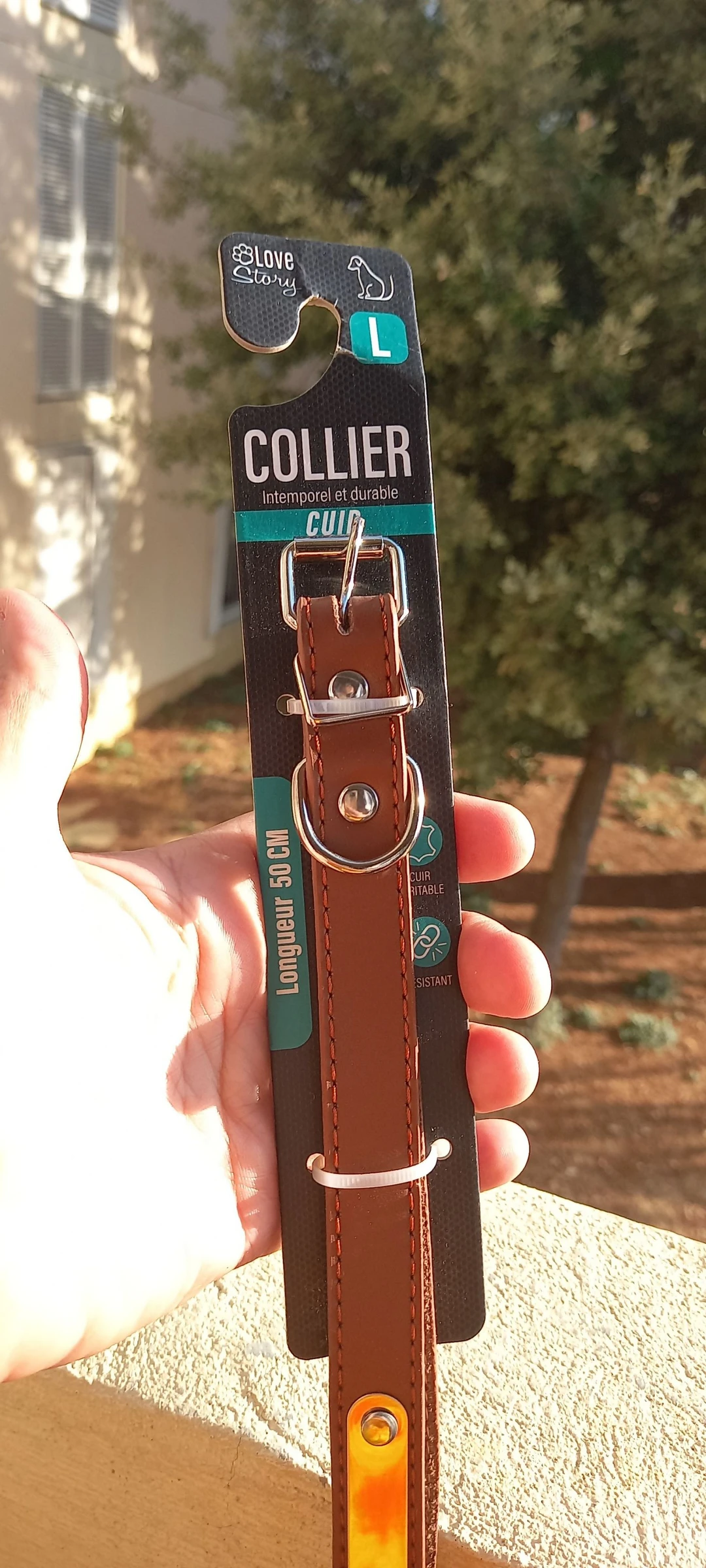 Collier pour chien en cuir L
